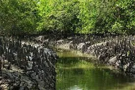 Sundarban National Park Information In Marathi 2023