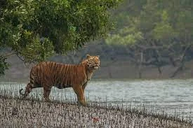 Sundarban National Park Information In Marathi 2023